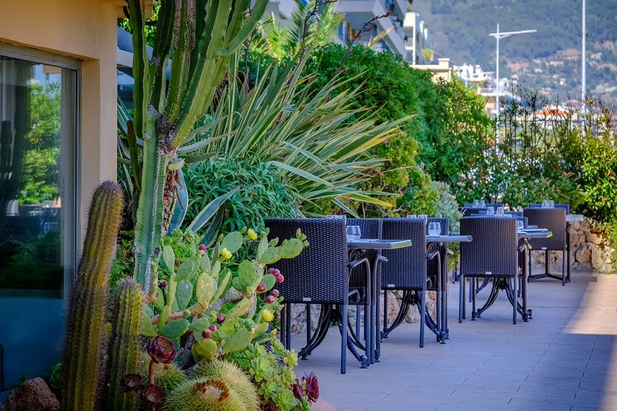 Vue depuis la terrasse du restaurant